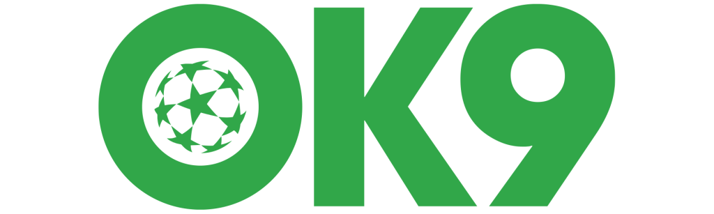 ok9vn.it.com